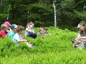 Es gibt schöne Wiesen mit saftigen Pflanzen im Wald da macht eine Pause viel Spaß, noch dazu wenn man spannende Märchen erzählt bekommt von Melanie Schwarzmeier.  Foto: K.-H. Hofmann