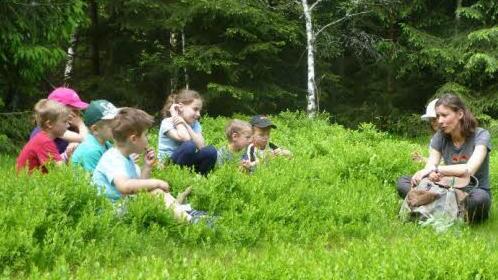 Es gibt schöne Wiesen mit saftigen Pflanzen im Wald da macht eine Pause viel Spaß, noch dazu wenn man spannende Märchen erzählt bekommt von Melanie Schwarzmeier.  Foto: K.-H. Hofmann