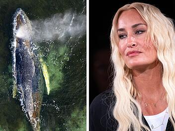 SplitImage 1776083227