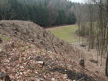 Frei gestellt wurde die Abraumhalde des ehemaligen Erzbergwerks im Schöntal.