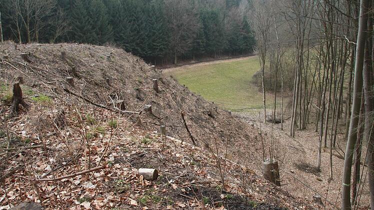 Frei gestellt wurde die Abraumhalde des ehemaligen Erzbergwerks im Schöntal.