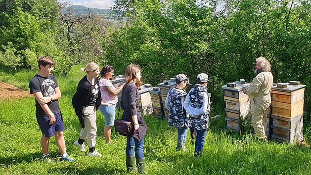 Eine Exkursion führte die Tierschutzfreunde zum Imker Henrik Arndt, wo sie das Leben im Bienenstock kennenlernten und beim Honigschleudern dabei waren. Foto: Stefan Wich