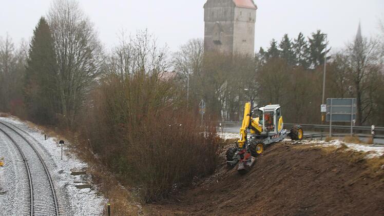 Mit einem Spezialgerät hat die zuständige Straßenmeisterei Hammelburg die Böschung zwischen B287 und Bahndamm von Bäumen und Sträuchern befreit. Das dienst der Verkehrssicherheit. Foto: Thomas Malz