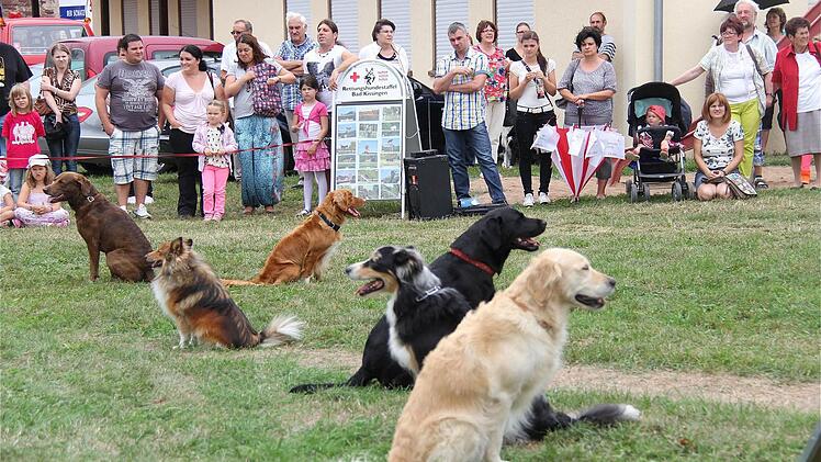 Vorführungen der Rettungshundestaffel.