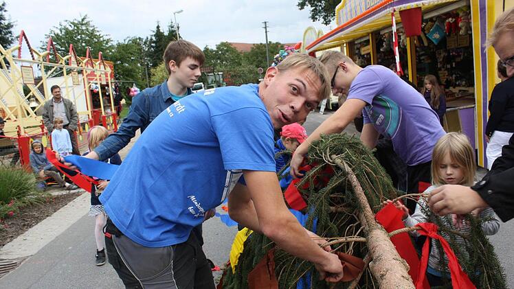 Die Kerwasburschen beim Baumschmücken  Foto: Sonja Werner