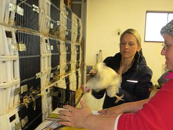 Anita Lorenz aus Falkendorf (rechts, mit Melanie Dorn) nutzte den Markt zum "Großeinkauf".  Fotos: Richard Sänger