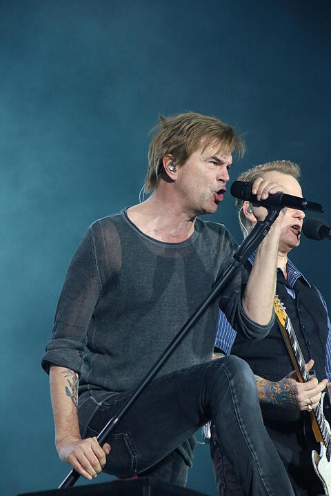 Die Toten Hosen bei Rock im Park 2017