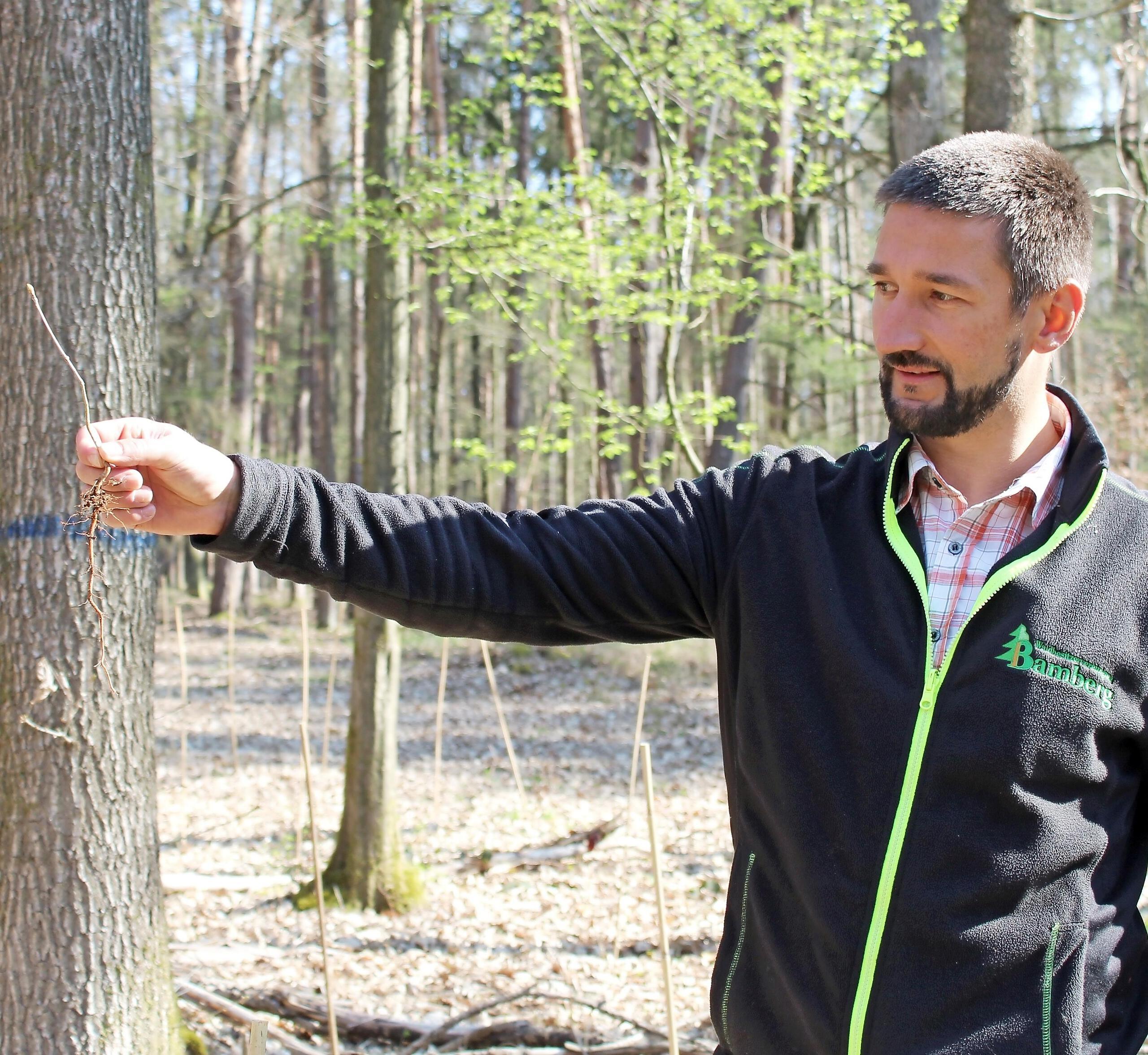 Rattelsdorf macht Wald fit