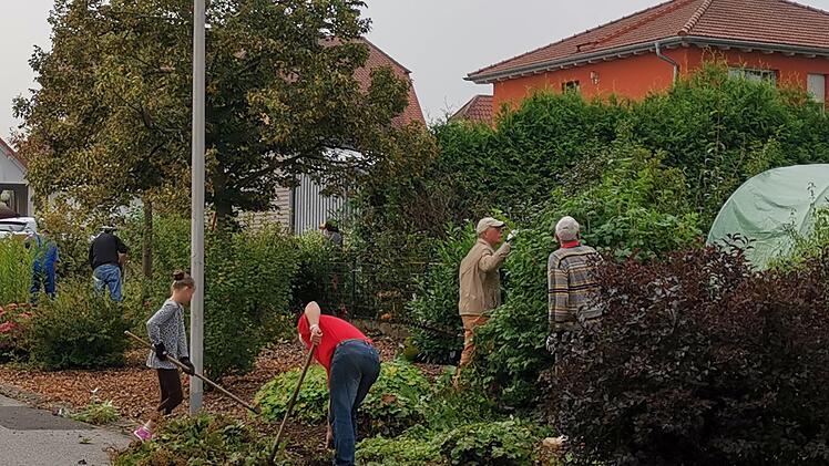 Freiwillige Helfer des Obst- und Gartenbauvereins kümmern sich um Grünflächen im Ort. Aura soll im Rahmen der Dorferneuerung noch grüner werden.