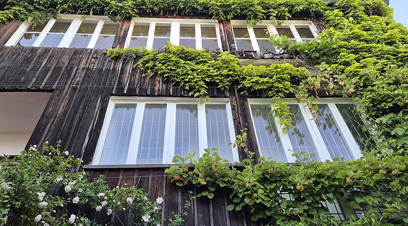 F&ouml;rderprogramm "Bambergs begr&uuml;nte Geb&auml;ude" geht in die dritte Runde