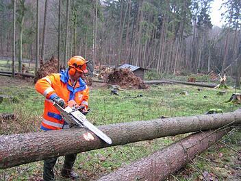 So viel Arbeit wie nach dem Sturm "Kyrill" 2007 gibt es heuer nicht. Dennoch sind allerorts Forstarbeiter im Einsatz.  Foto: Archiv/Bartl