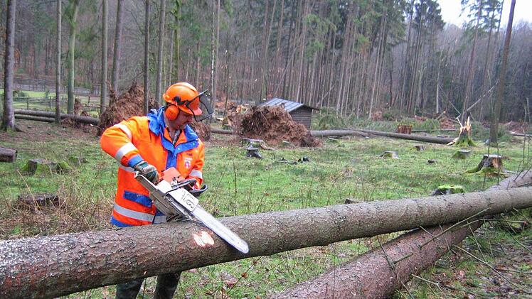 So viel Arbeit wie nach dem Sturm "Kyrill" 2007 gibt es heuer nicht. Dennoch sind allerorts Forstarbeiter im Einsatz.  Foto: Archiv/Bartl