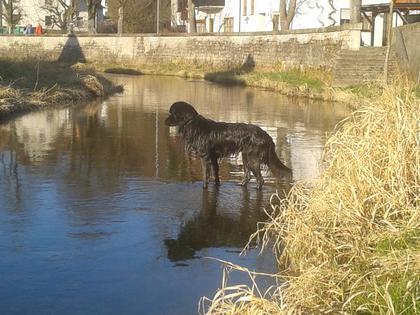 Foto: Peggy Maas