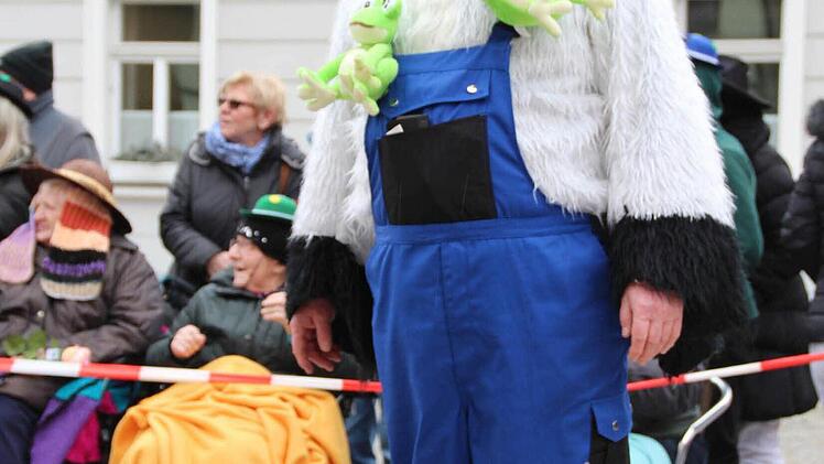 Der Faschingsumzug in Höchstadt war auch 2017 wieder sehr gut besucht. Foto: Franziska Rieger