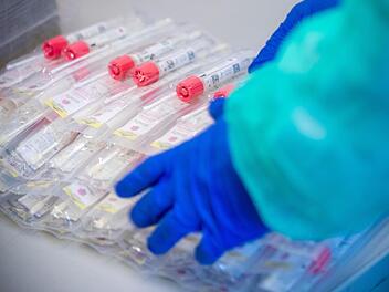 Vom 13. September bis vorgestern sind allein in der Corona-Abstrichstelle in der Kulmbacher Flessastraße 1559 Speicheltests genommen worden.  Symbolfoto: Jens Büttner/dpa