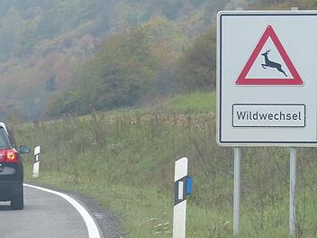 Ein Schwerpunkt der Wildunfälle im Landkreis: die Straße zwischen Ebelsbach  und Stettfeld Foto: Klaus Schmitt