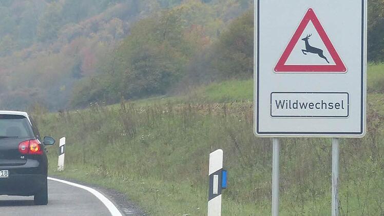 Ein Schwerpunkt der Wildunfälle im Landkreis: die Straße zwischen Ebelsbach  und Stettfeld Foto: Klaus Schmitt