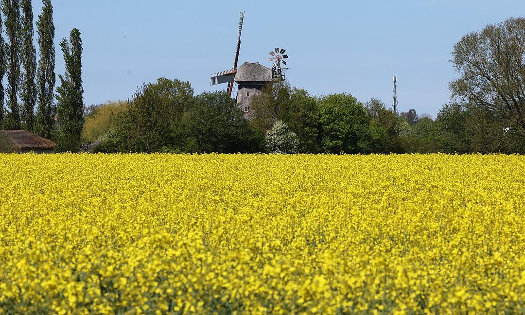 Sonniges Wetter im Norden