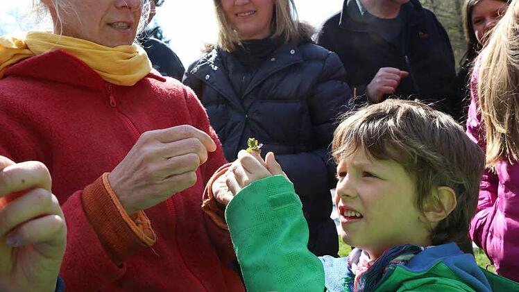 Wildkräuter-Nachmittag bei unserer Traumgarten AG Foto: Barbara Herbst