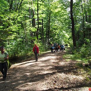 ABO Plus-Herbstwanderung Bamberg