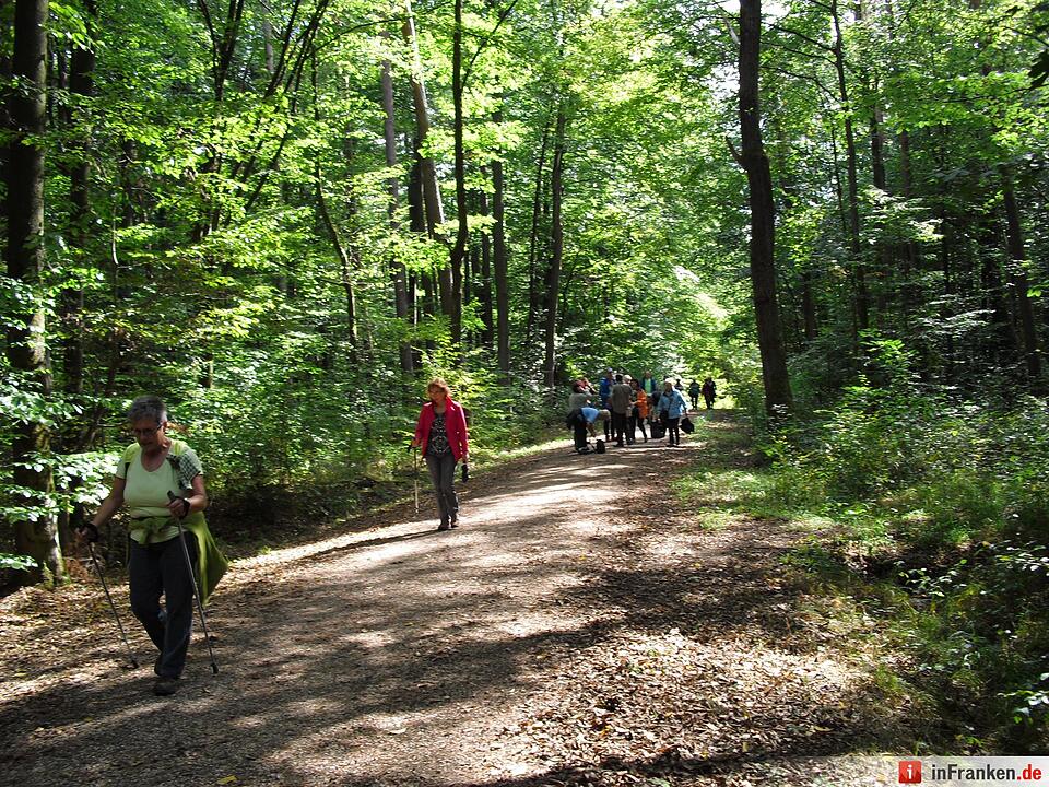 ABO Plus-Herbstwanderung Bamberg