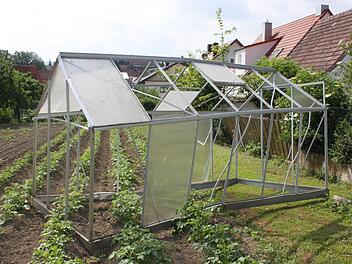 Das durch die Luft gewirbelte Gewächshaus landete in einem Garten mit Kartoffelpflanzen.  Foto: Christiane Reuther