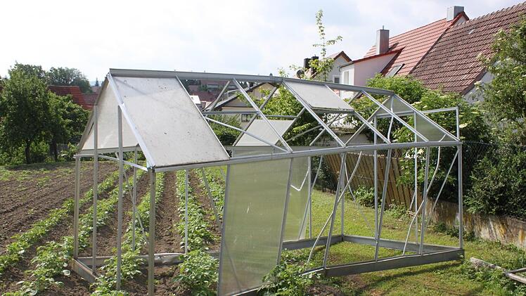 Das durch die Luft gewirbelte Gewächshaus landete in einem Garten mit Kartoffelpflanzen.  Foto: Christiane Reuther