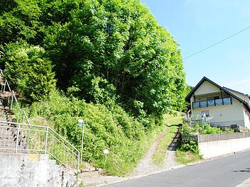 Bisher reicht die Kernzone in Riedenberg bis direkt vor die Haustüre der Anwohner. Sehr zum Unmut der Bürger. Wäre eine Veränderbarkeit der bisherigen Kernzone bei einem Nationalpark wirklich realisierbar, wie versprochen. Diese und viele andere Fragen sind noch offen.  Foto: Evelyn Schneider