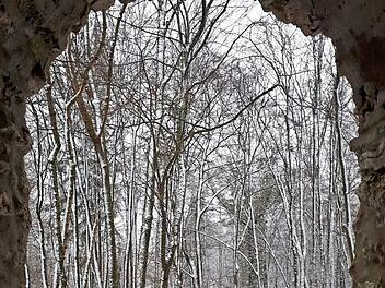 Die Schneeauflage, hier bei der Wallerwarte nahe Ebermannstadt, ist zu gering fürs Skifahren. Foto: Ruppert