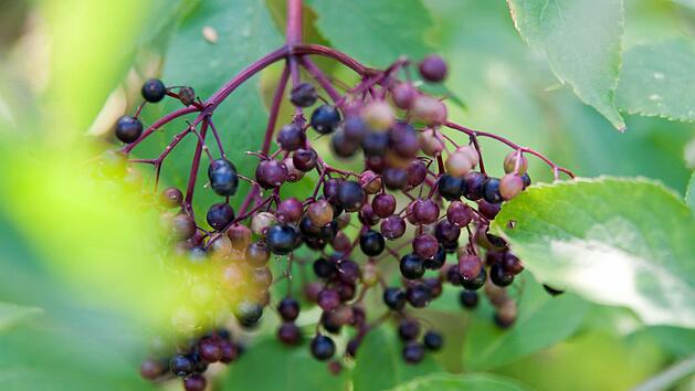 Symbolbild: Andrea Warnecke/dpa