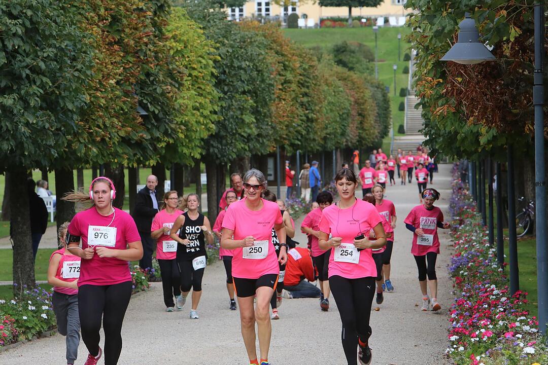 Pinklauf 2015