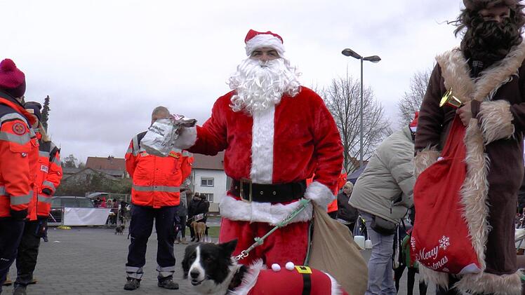 Der Weihnachtsmann mit Santa Bello und Knecht Ruprecht verteilten Leckerli und waren das Highlight auf dem Hundeweihnachtsmarkt in Haßfurt.Christian Licha