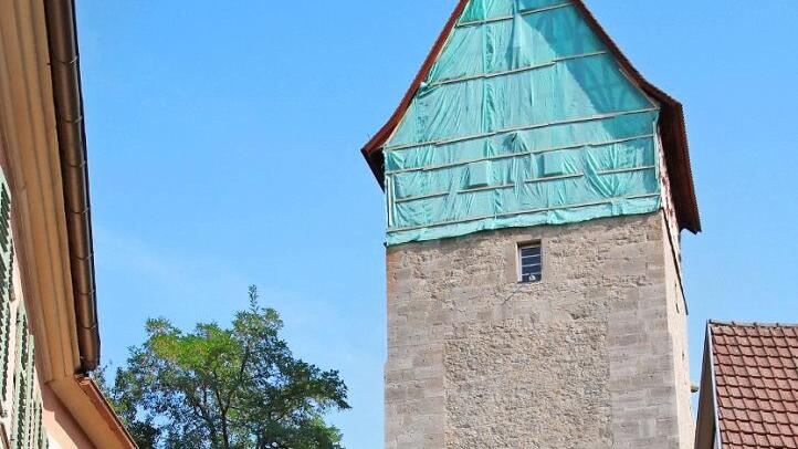 Die Netze am Jörgentor müssen ausgetauscht oder repariert werden. Jetzt wird ein umfassendes Schadensbild erstellt, danach sollen die notwendigen Arbeiten erledigt werden.  Foto: Thomas Malz