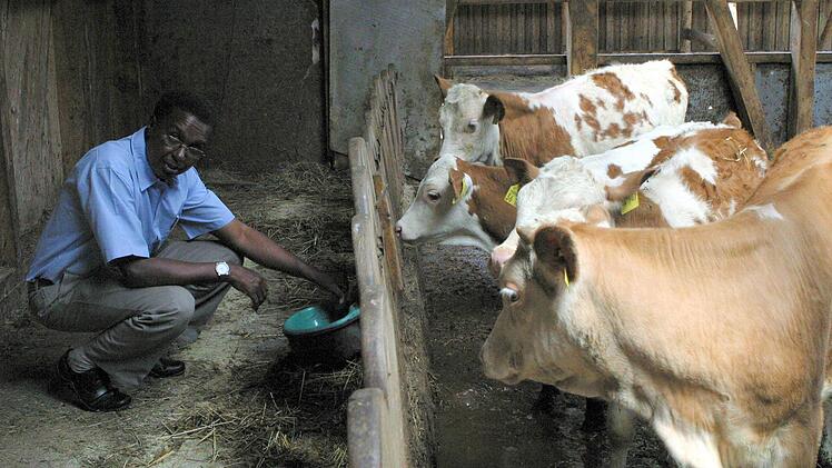 Die Viehtränke im Stall der Kälber hat es Dekan Malaki Joel Pallangyo angetan.