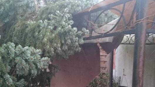 Fichten und andere Flachwurzler stürzten um, wie hier in Ebelsbach auf ein Pavillon. Foto: privat