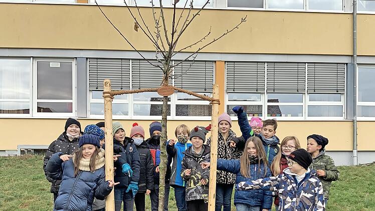 Vier Obstbäume pflanzten die Grundschüler zusammen mit Mitarbeitern des Bauhofs.