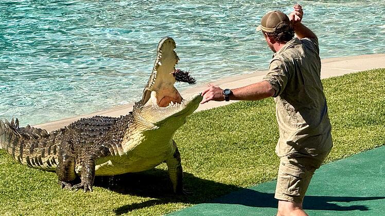 20. Todestag von &laquo;Crocodile Hunter&raquo; Steve Irwin