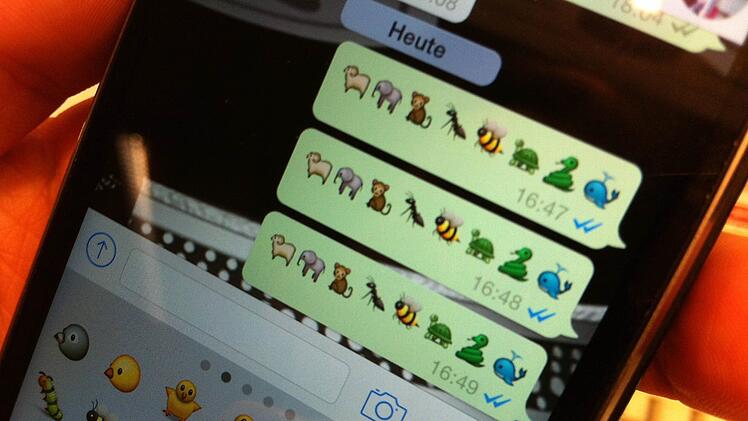 Aufgrund neuer Sicherungsregeln, löscht WhatsApp alle Nachrichten, die länger als ein Jahr zurückliegen. Symbolbild: Silke Katenkamp/dpa