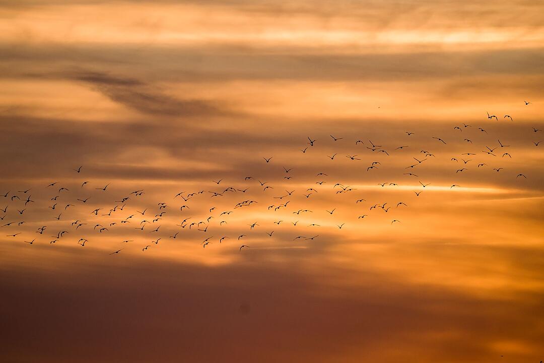 Sonnenuntergang &uuml;ber Frankfurt/Main