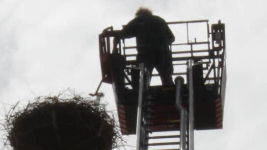 Natursch&uuml;tzer Jochen Willecke fuhr  mit der Drehleiter der Feuerwehr zum Storchennest, um gef&auml;hrliches Sammelgut zu entfernen.