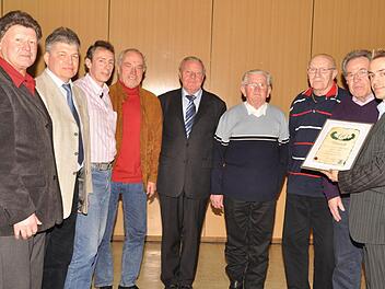 Mit Ehrenurkunden und -nadeln zeichente Vereinsvorsitzender Tobias Vogel (rechts) langjährige Vereinsmitglieder aus: (v. l.) Rudi Kiesel, Robert Metzler, Karl-Heinz Kiesel, Georg Renninger, Rudolf Holzapfel, Josef Dittmer, Edgar Beck und Siegbert Kiesel. Foto: Peter Klopf