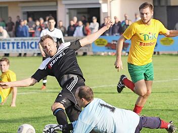 Kein Zweifel: Elfmeter für Sand. Bambergs Torwart Daniel Horcher kommt zwar auch irgendwie an den Ball, bringt aber zuvor Sands Thorsten Schlereth zu Fall. Daniel Rinbergas verwandelte zum 1:0. Foto: Ralf Naumann