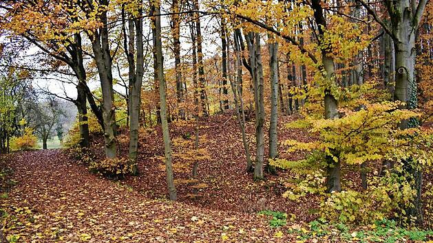 Einer der sch&ouml;nsten Wanderwege f&uuml;hrt zu den Aussichtspunkten Silberecke und Leidstein. Doch auf dem Weg muss das Gel&auml;nder saniert werden, um weiterhin Sicherheit gew&auml;hrleisten zu k&ouml;nnen.  Foto: Petra Malbrich