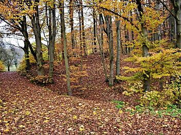 Einer der schönsten Wanderwege führt zu den Aussichtspunkten Silberecke und Leidstein. Doch auf dem Weg muss das Geländer saniert werden, um weiterhin Sicherheit gewährleisten zu können.  Foto: Petra Malbrich