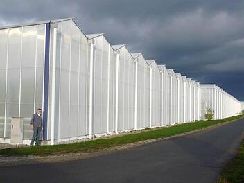 Die dunklen Wolken sind beinahe symbolisch: So wie auf diesem Bild, es zeigt eine Anlage im Knoblauchsland unweit des Nürnberger Flughafens,- könnte es bald auf dem Jura bei Fesselsdorf aussehen. Die Nürnberger Gemüsebauern Scherzer und Boss wollen dort ein Gewächshaus errichten, das in der Bevölkerung umstritten ist.  Foto: Stephan Stöckel
