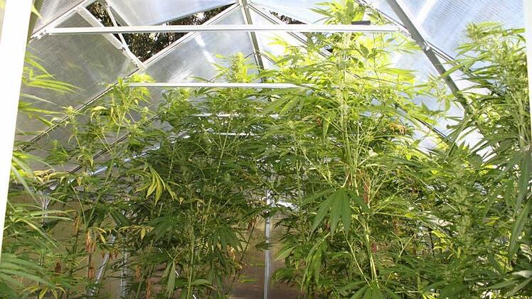 Auch ein Gewächshaus ist auf dem Grundstück.