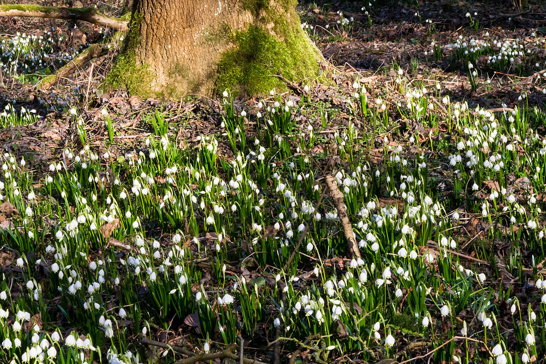 Fotos Konrad Thomann