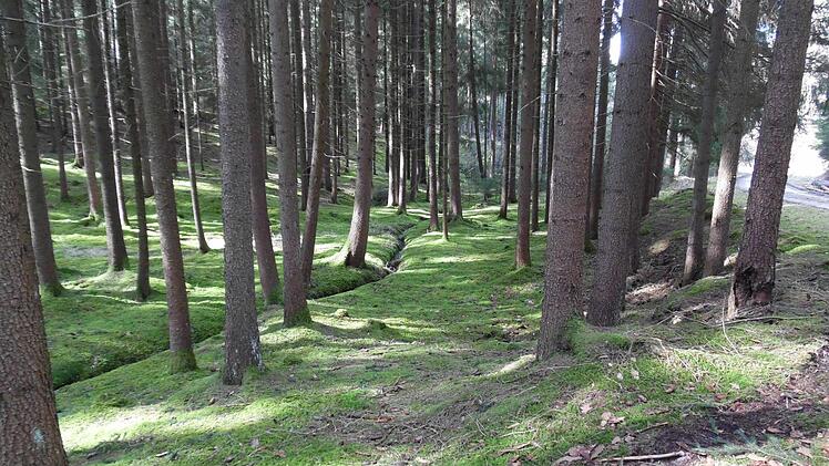 Zwischen Seehof und Aßlitz