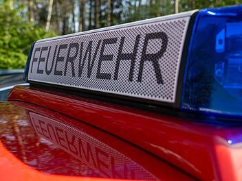 Neustadt bei Coburg: Kinder sorgen für Brandgefahr im Wald