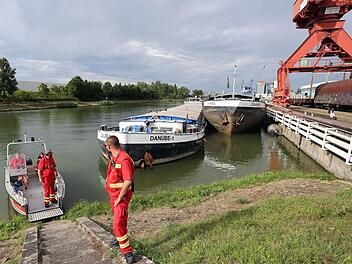 Foto: News5 / Weier